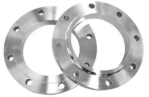 Stainless Steel 316 Flanges